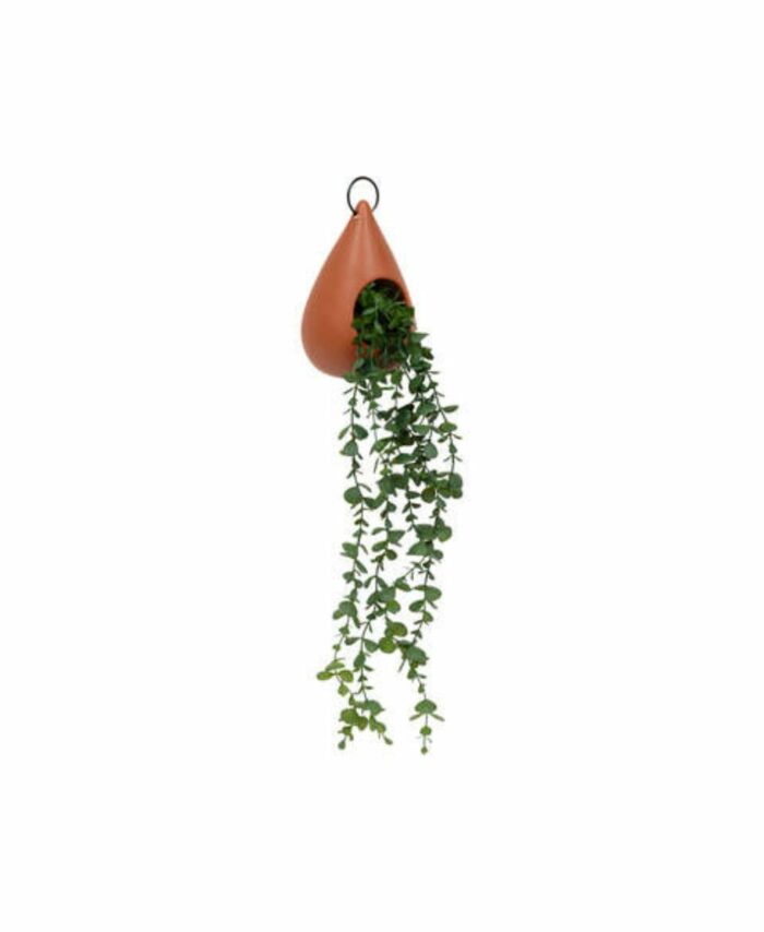 Plante-a-suspendre-Yi-Haut-ma-collection-signature-decoration